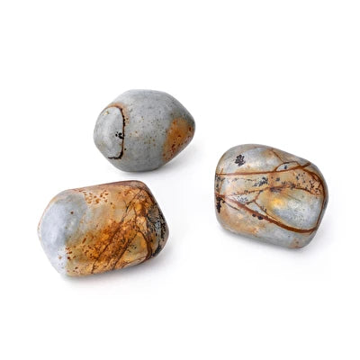GANCHO/CABIDEIRO METEOROS