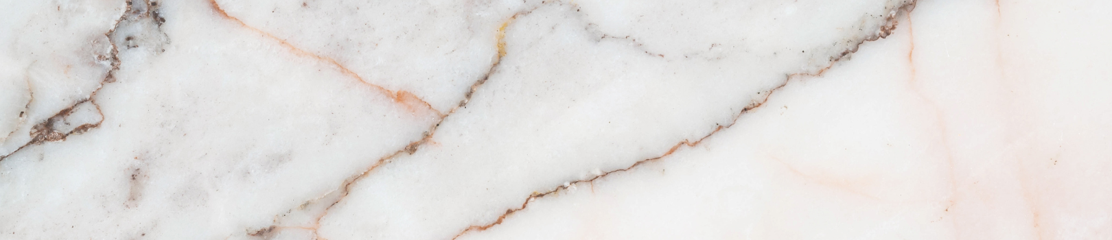 Banner Desktop